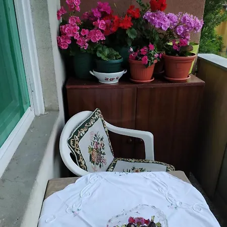 Tara Апартаменты Врдник