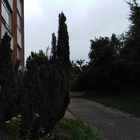 Tara Apartament *