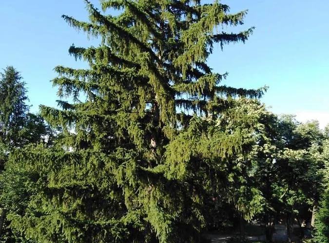 דירה Tara ורדניק